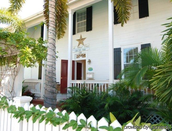 Kona Kai Oasis Bed and Breakfast Key West Buitenkant foto